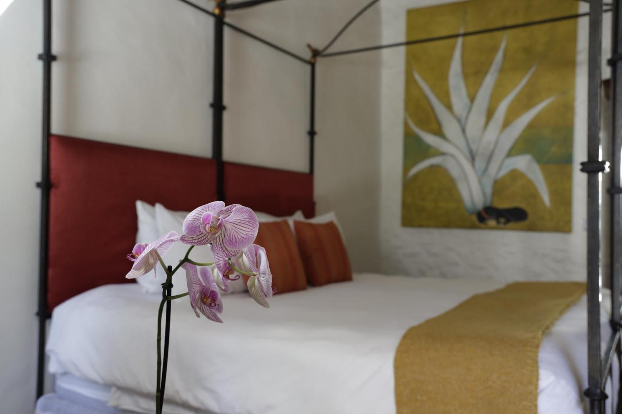 Orchid House San Miguel De Allende Bagian luar foto