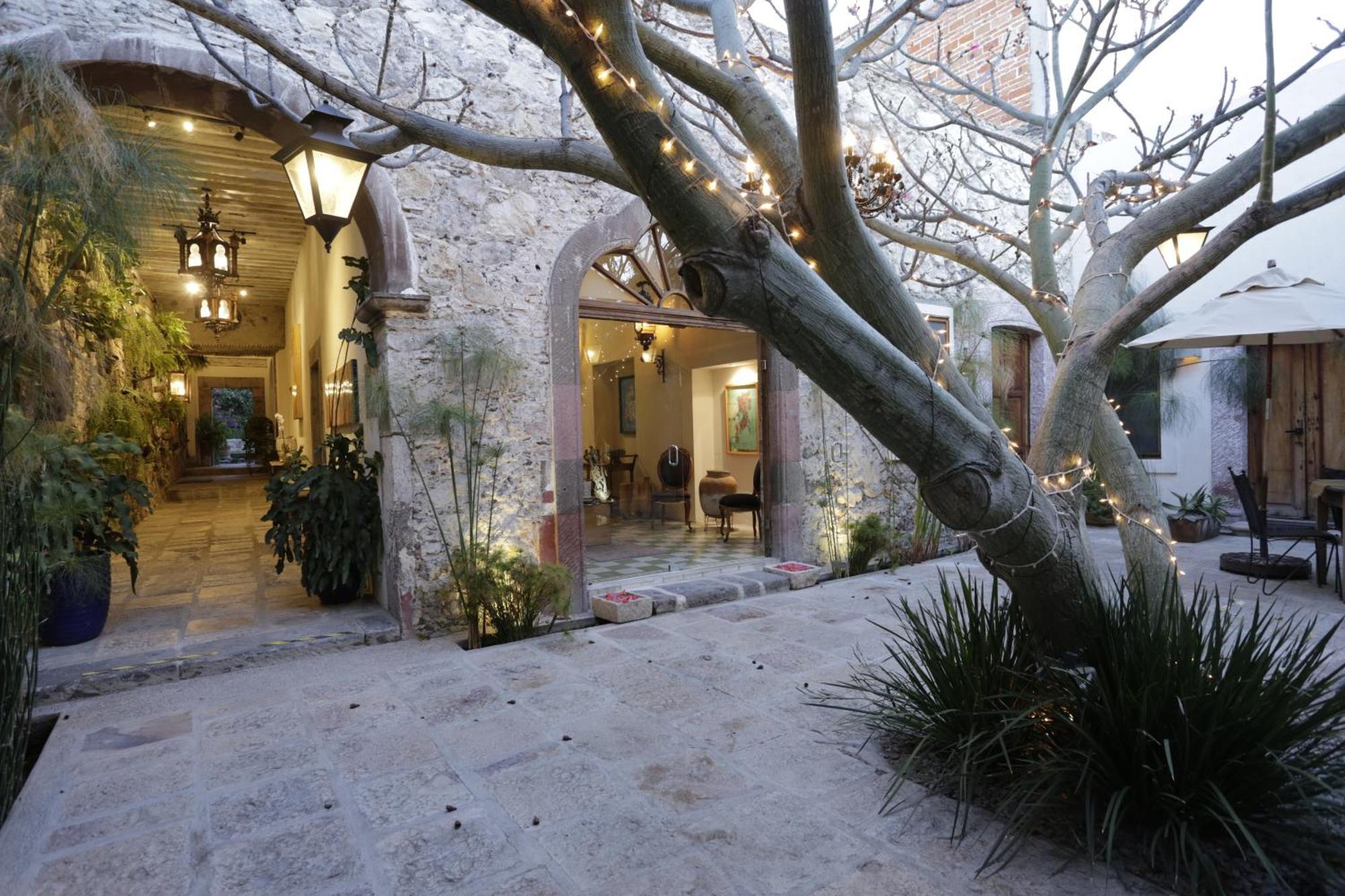 Orchid House San Miguel De Allende Bagian luar foto