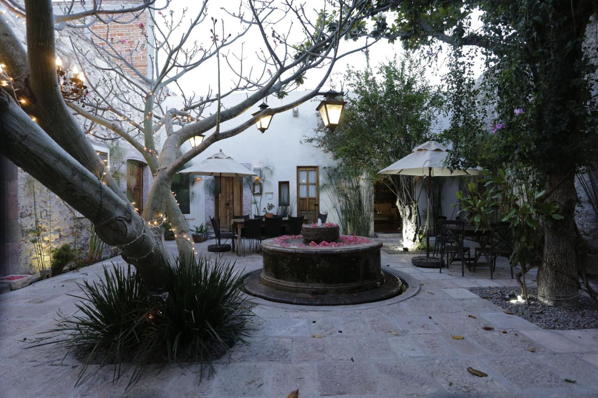 Orchid House San Miguel De Allende Bagian luar foto