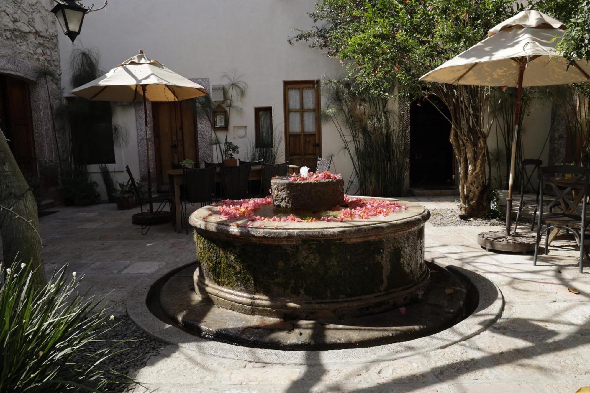 Orchid House San Miguel De Allende Bagian luar foto
