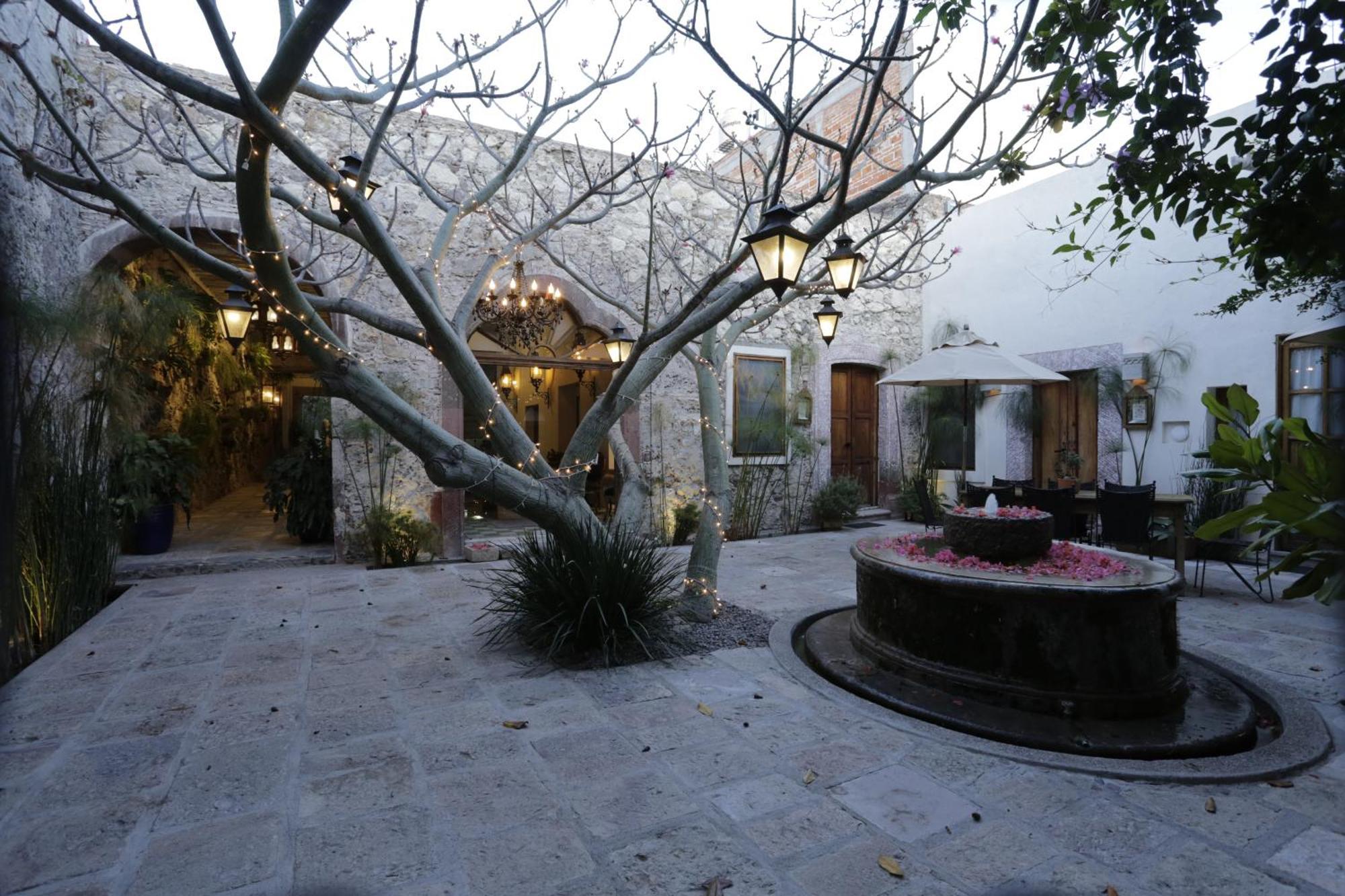 Orchid House San Miguel De Allende Bagian luar foto