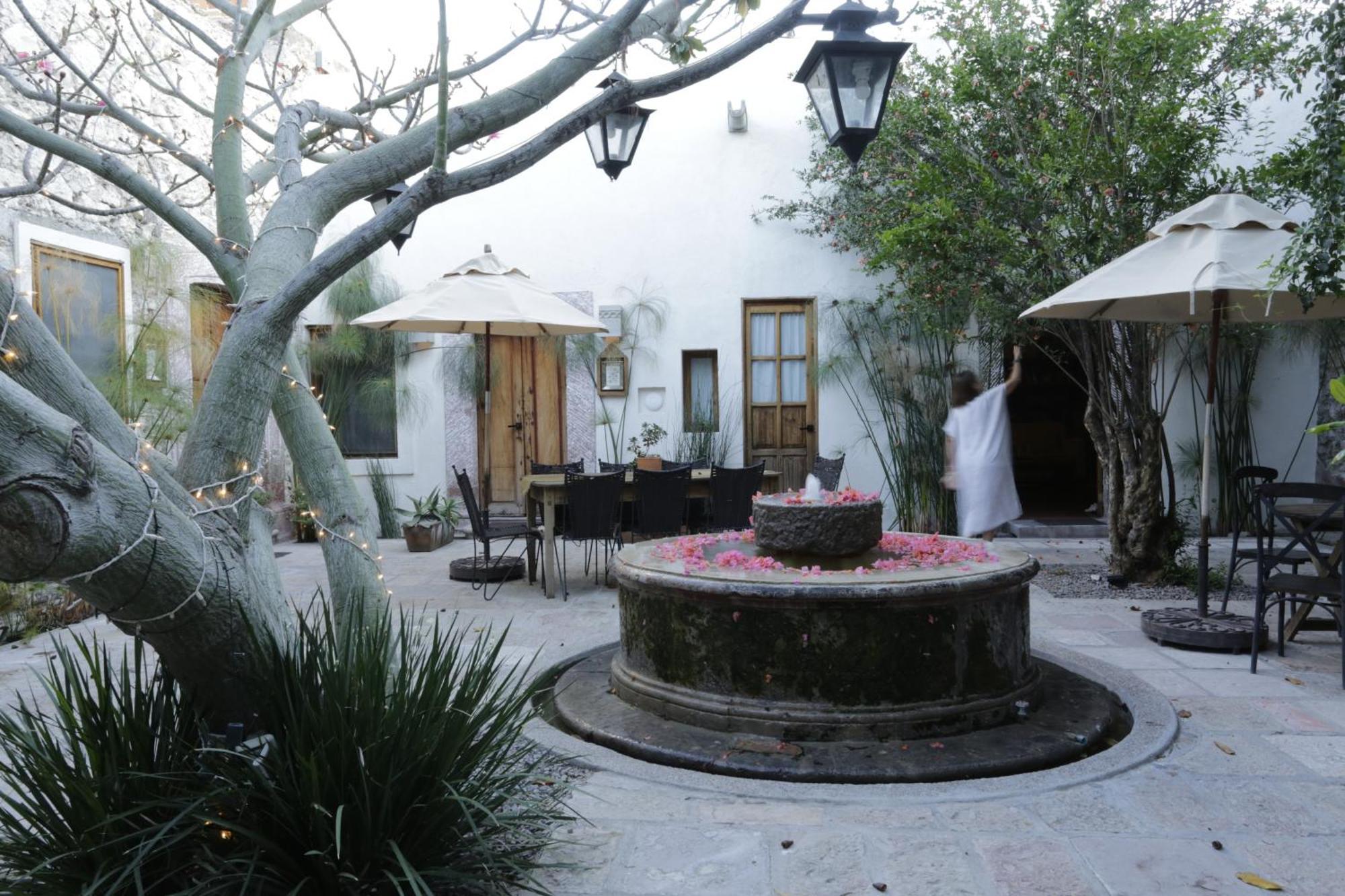 Orchid House San Miguel De Allende Bagian luar foto
