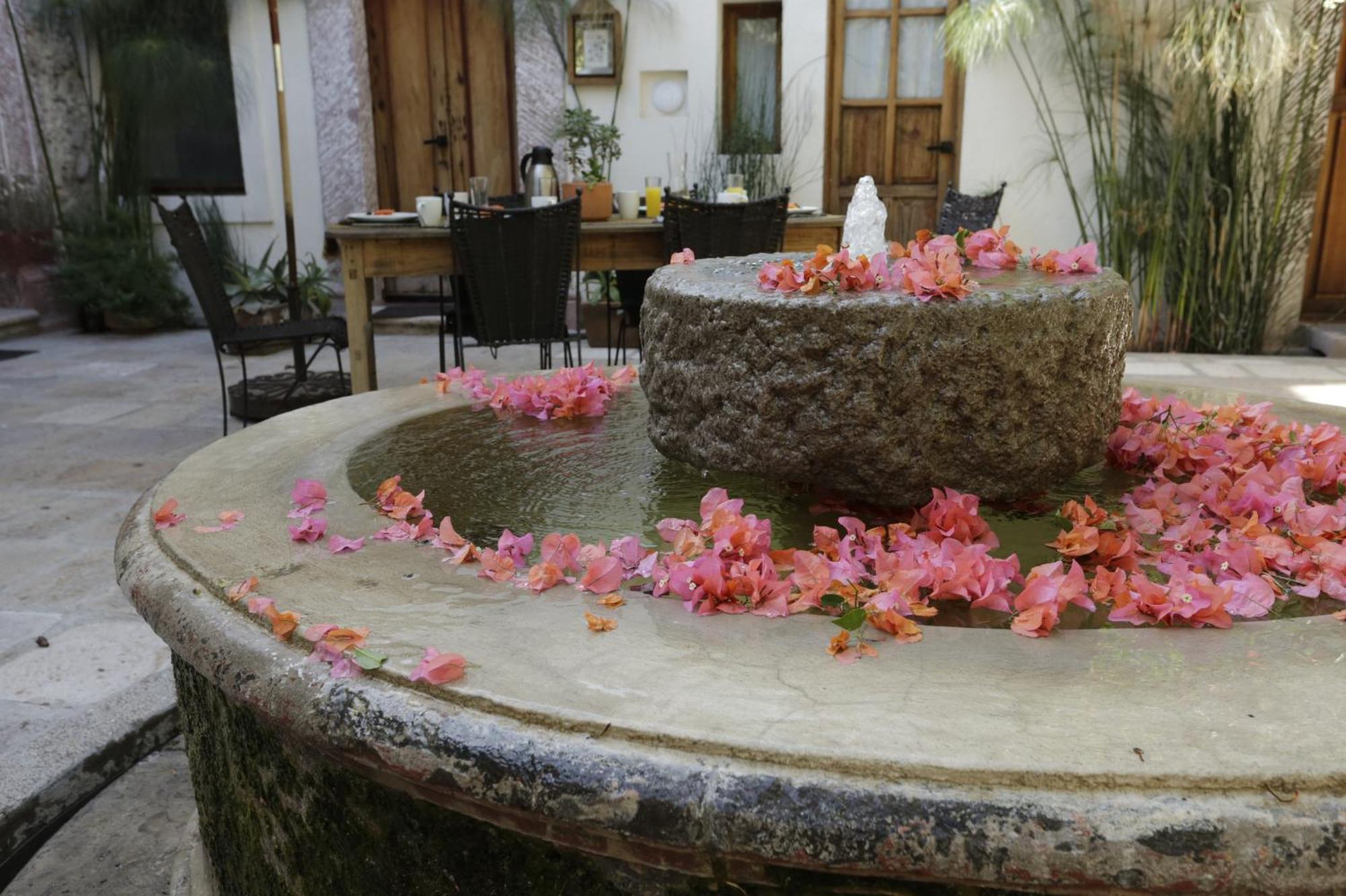 Orchid House San Miguel De Allende Bagian luar foto