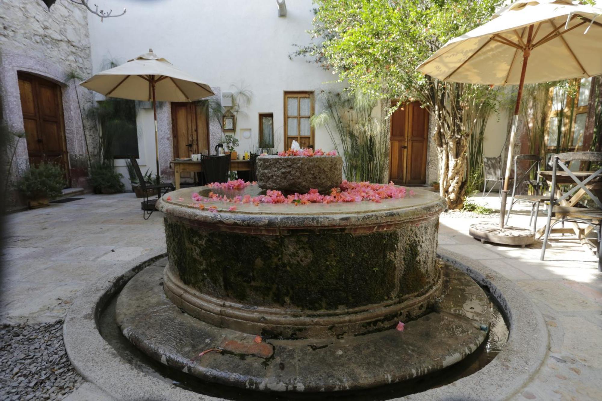 Orchid House San Miguel De Allende Bagian luar foto