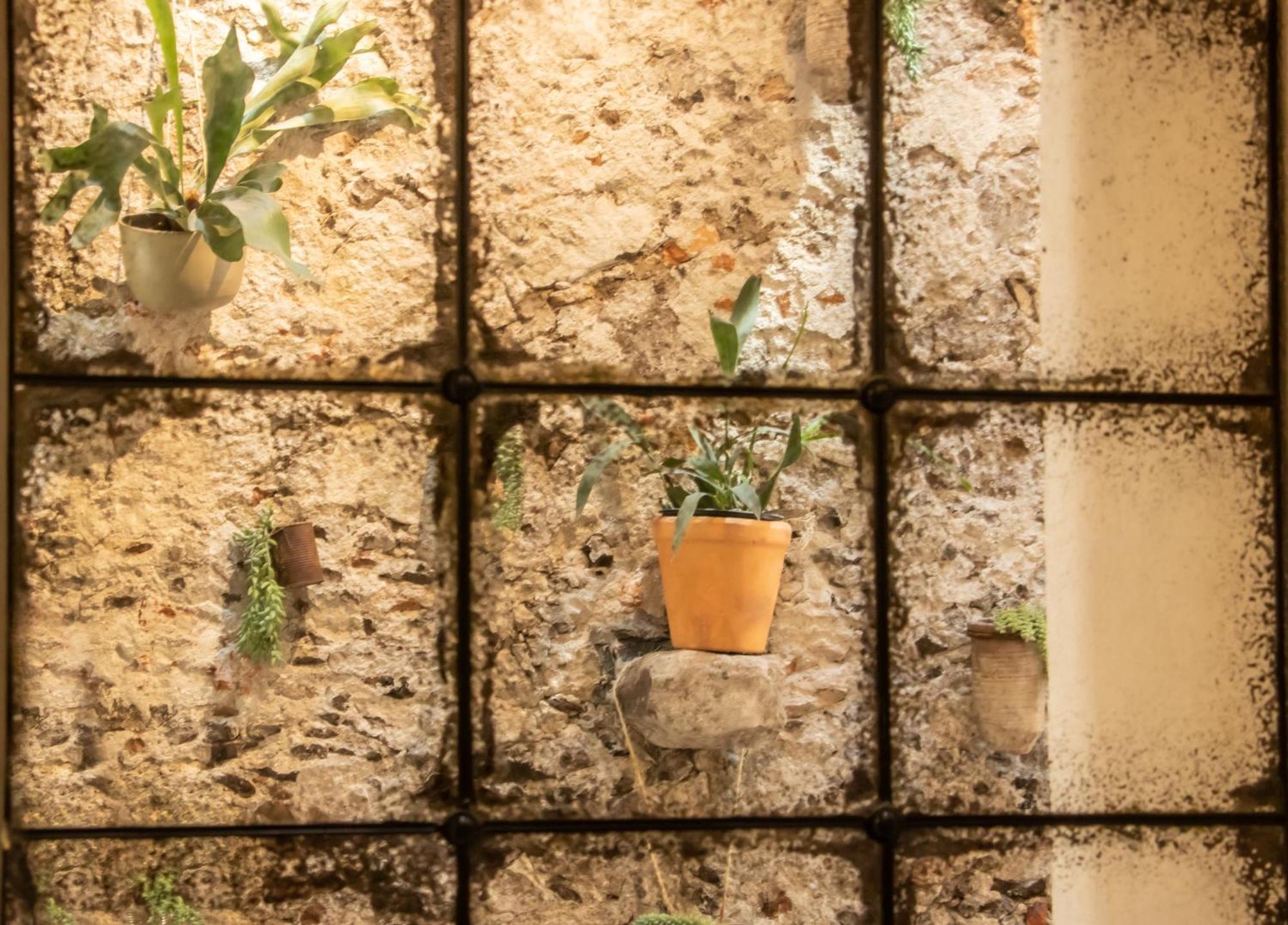 Orchid House San Miguel De Allende Bagian luar foto