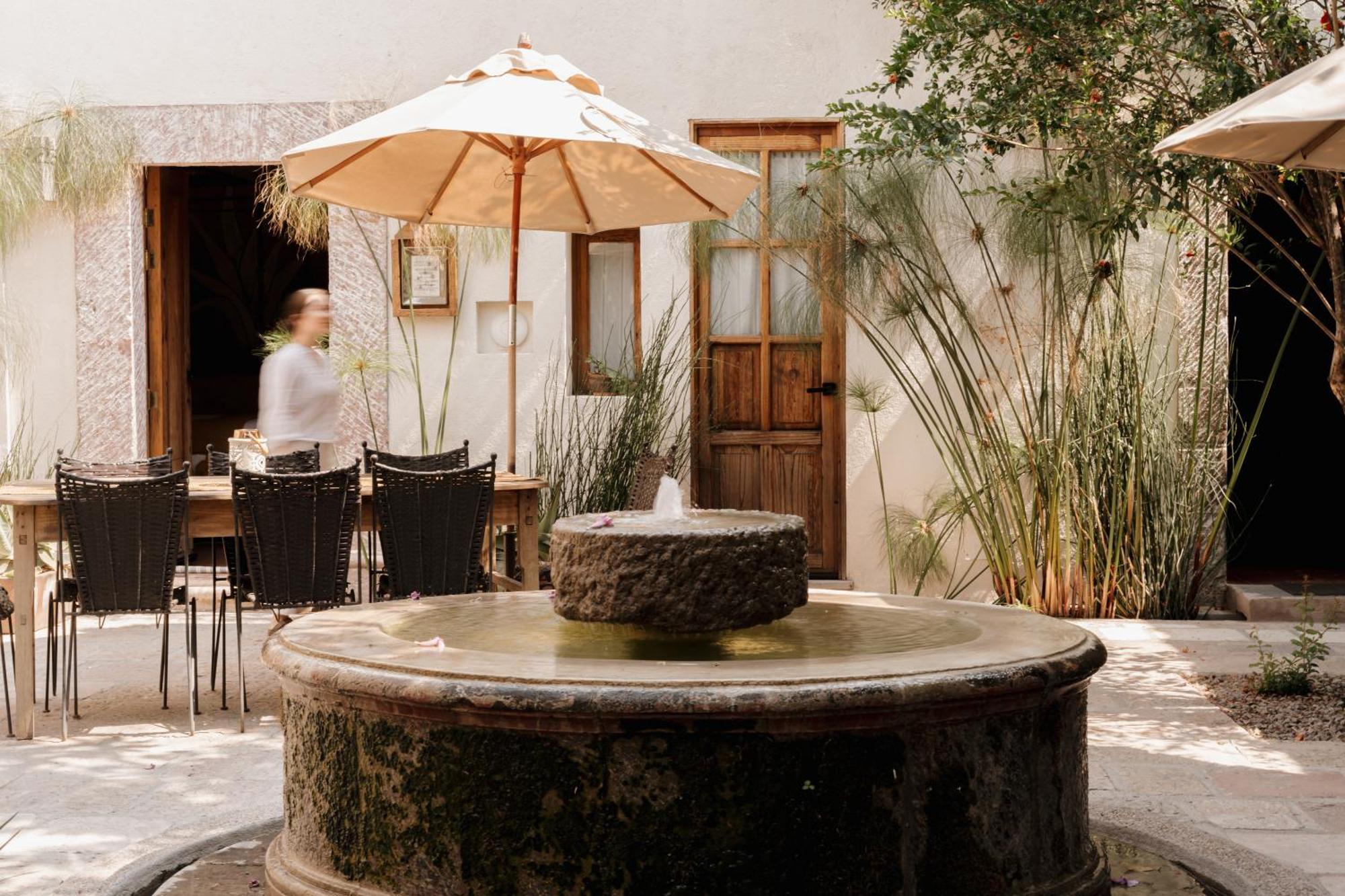 Orchid House San Miguel De Allende Bagian luar foto