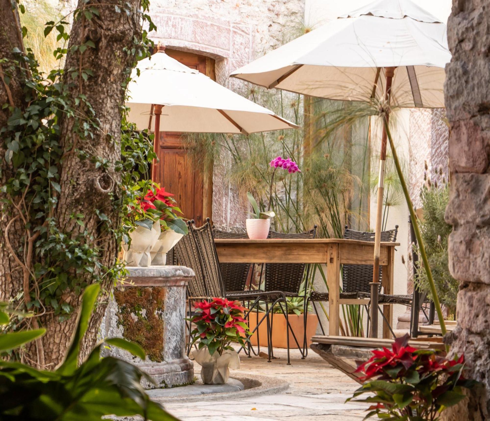 Orchid House San Miguel De Allende Bagian luar foto